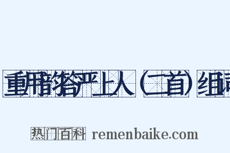 重用韵答严上人（二首）组词是什么意思的图片